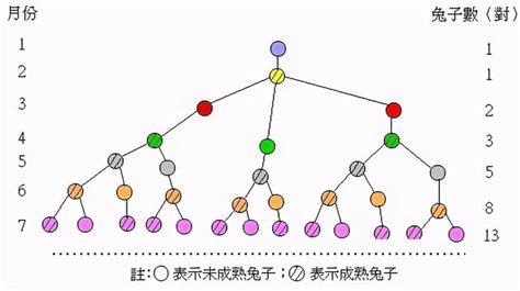 兔子問題|61003